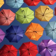 Insurance & Reinsurance​